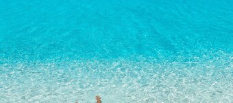 A Slice Of Tropical Paradise