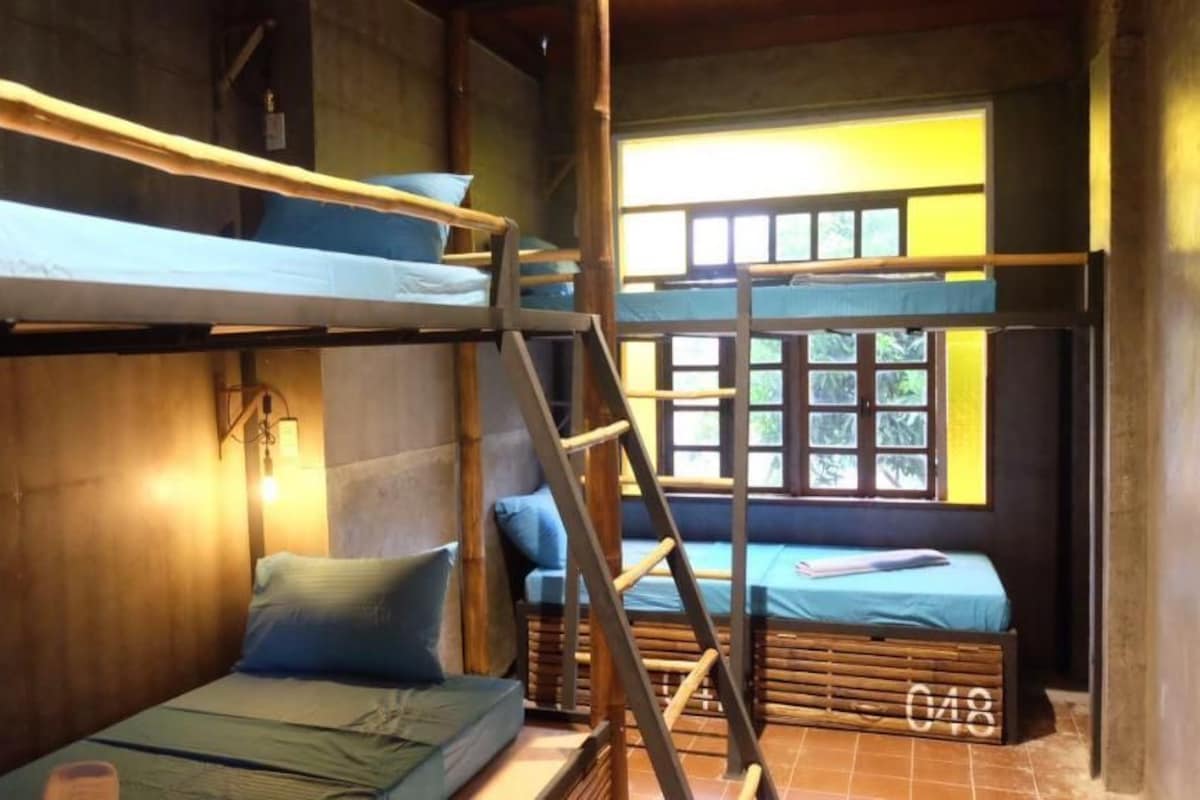 A dormitory room with bunk beds, a ladder, and a window with a view of trees.