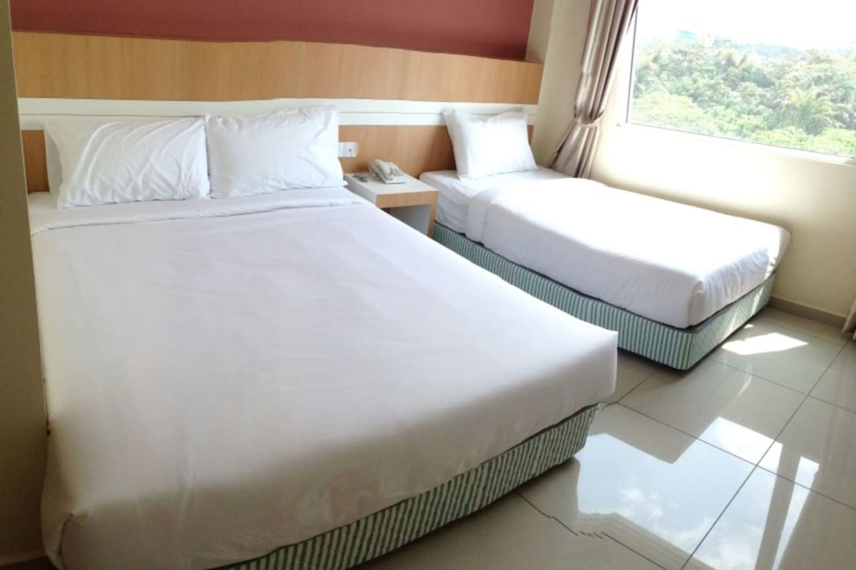 Habitación de hotel con una cama grande, una cama más pequeña, una mesita de noche con teléfono y una ventana con vistas a zonas verdes.