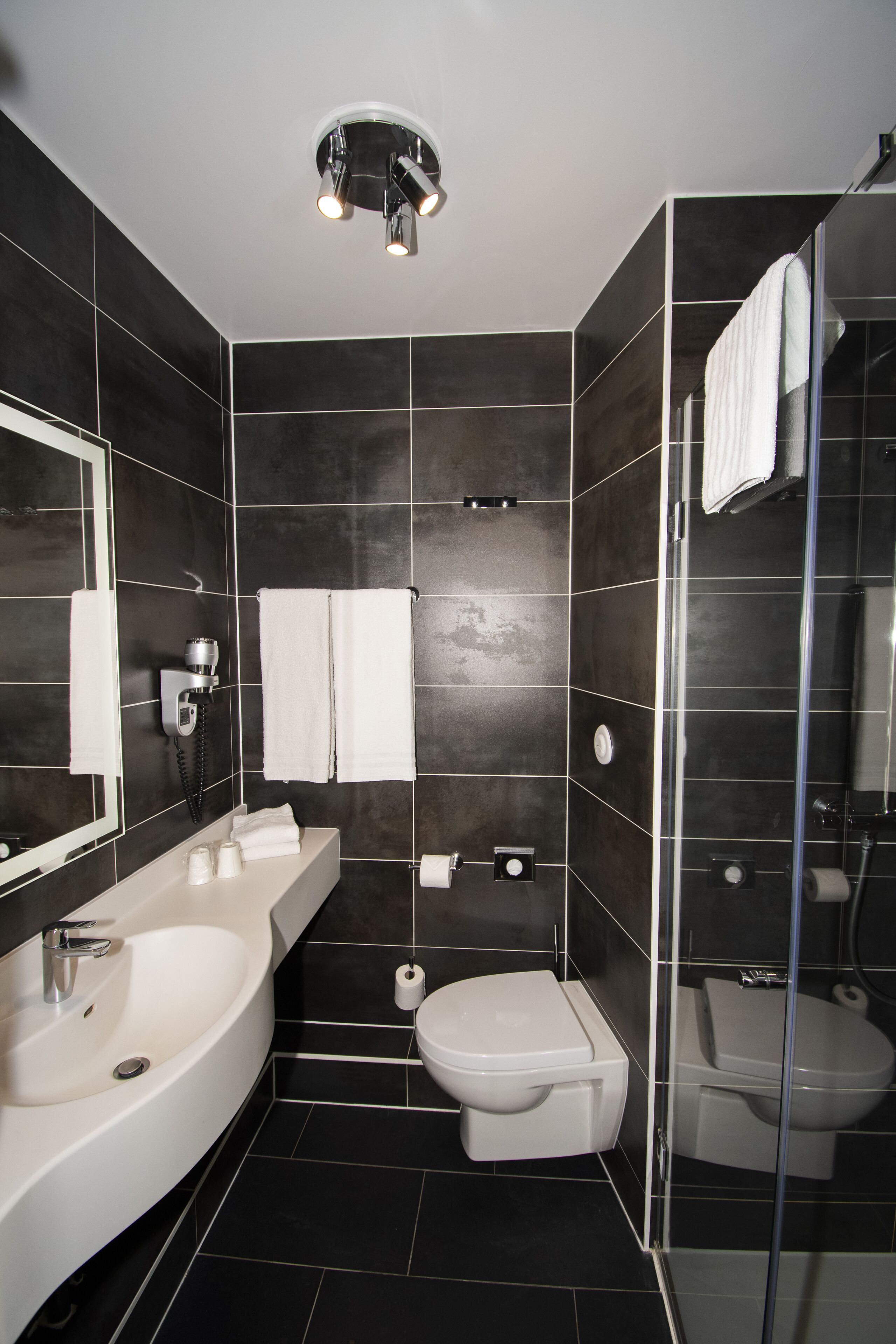 shower, free toiletries, hair dryer, towels