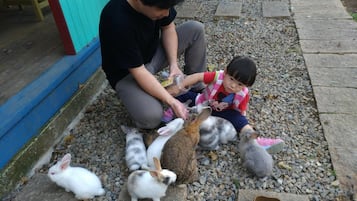 A person interacting with several rabbits on a pebbled ground near a blue structure.