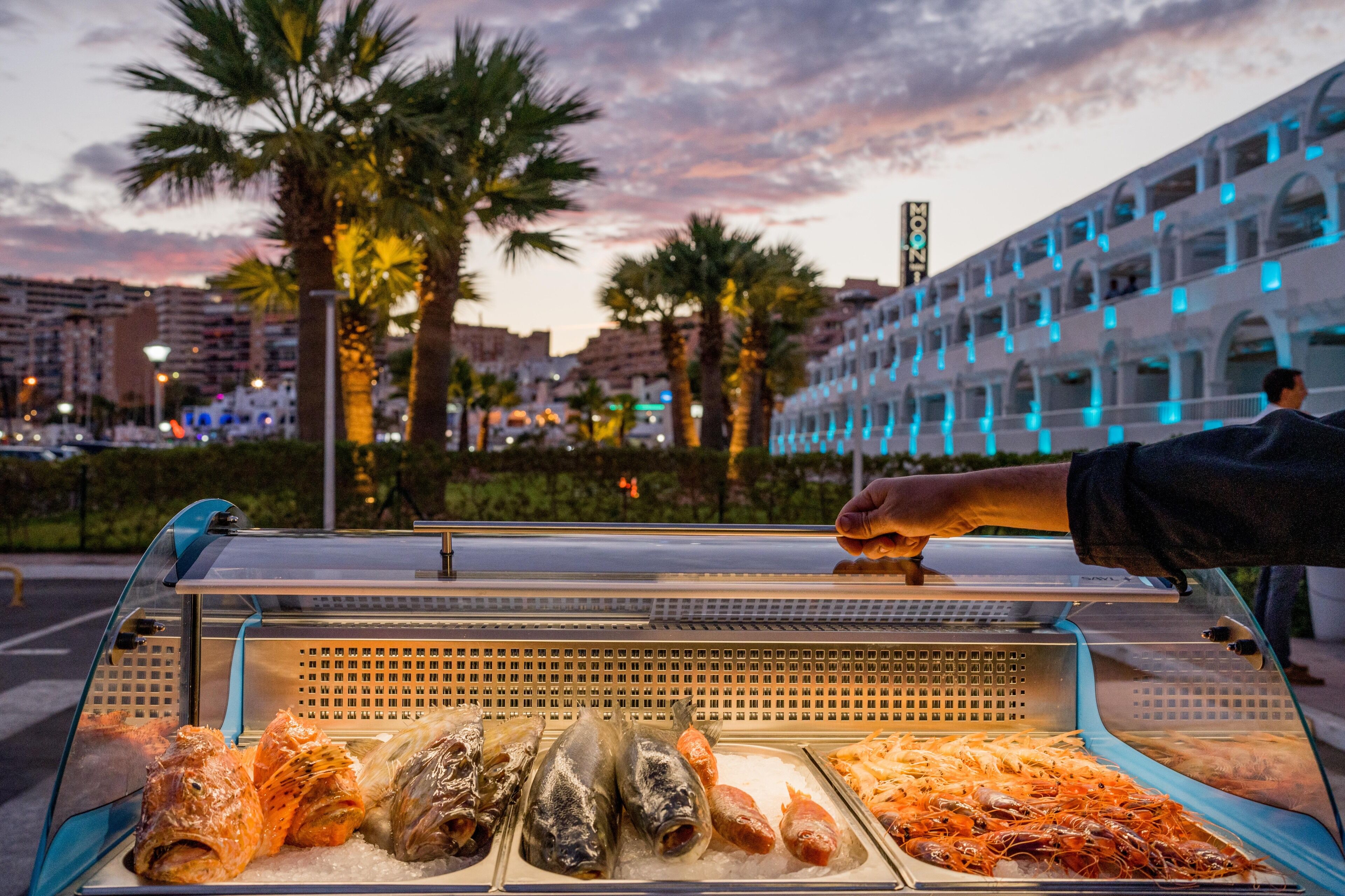 Un étalage de produits de la mer dans un marché, avec différents types de poissons et de fruits de mer présentés sur de la glace, des palmiers et un bâtiment aux lumières bleues en arrière-plan.
