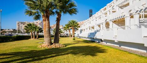 A well-maintained grassy area with palm trees and a white building with a modern architectural design.