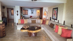 TV, DVD player, books, music library - Magnificent Views, Sleeps 2-6 Just Reduced Rates (Zihuatanejo)