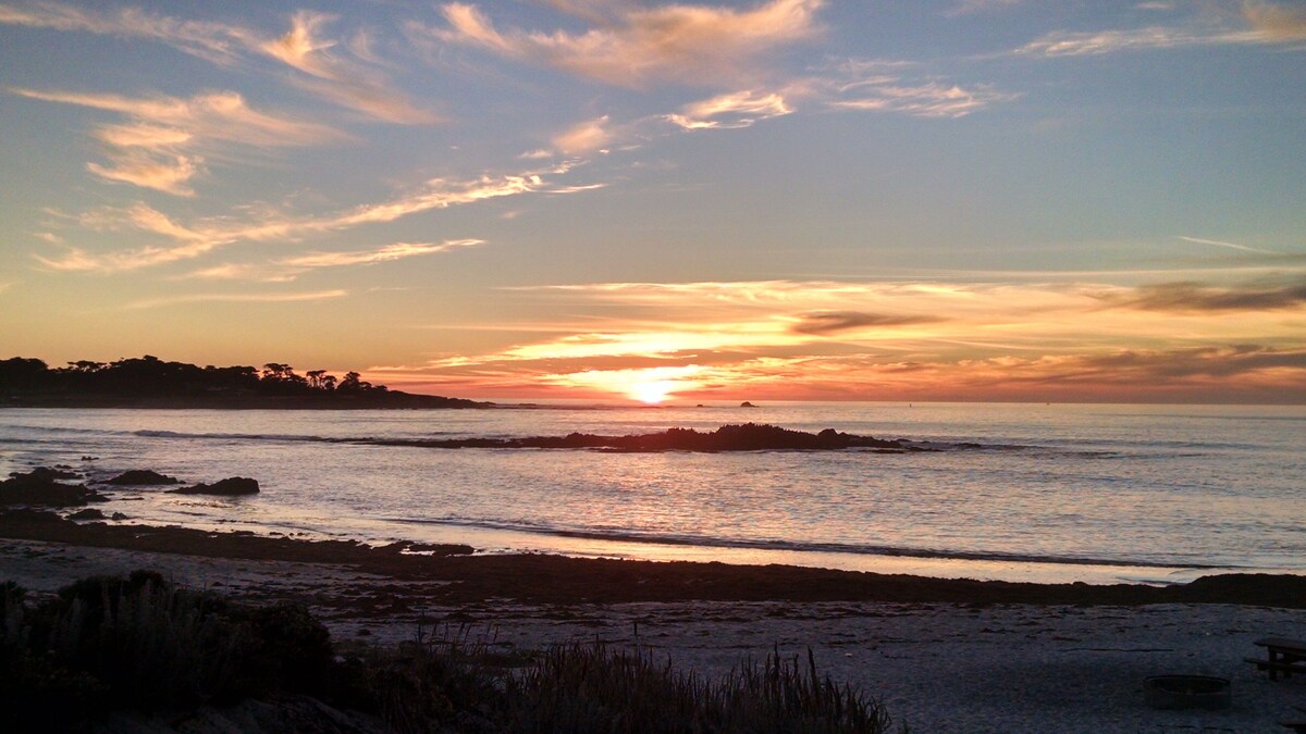 Værtens profilbillede