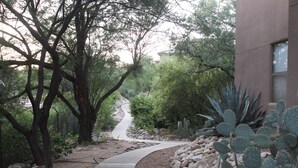 Un sentier qui traverse un jardin planté de cactus et d’arbres.