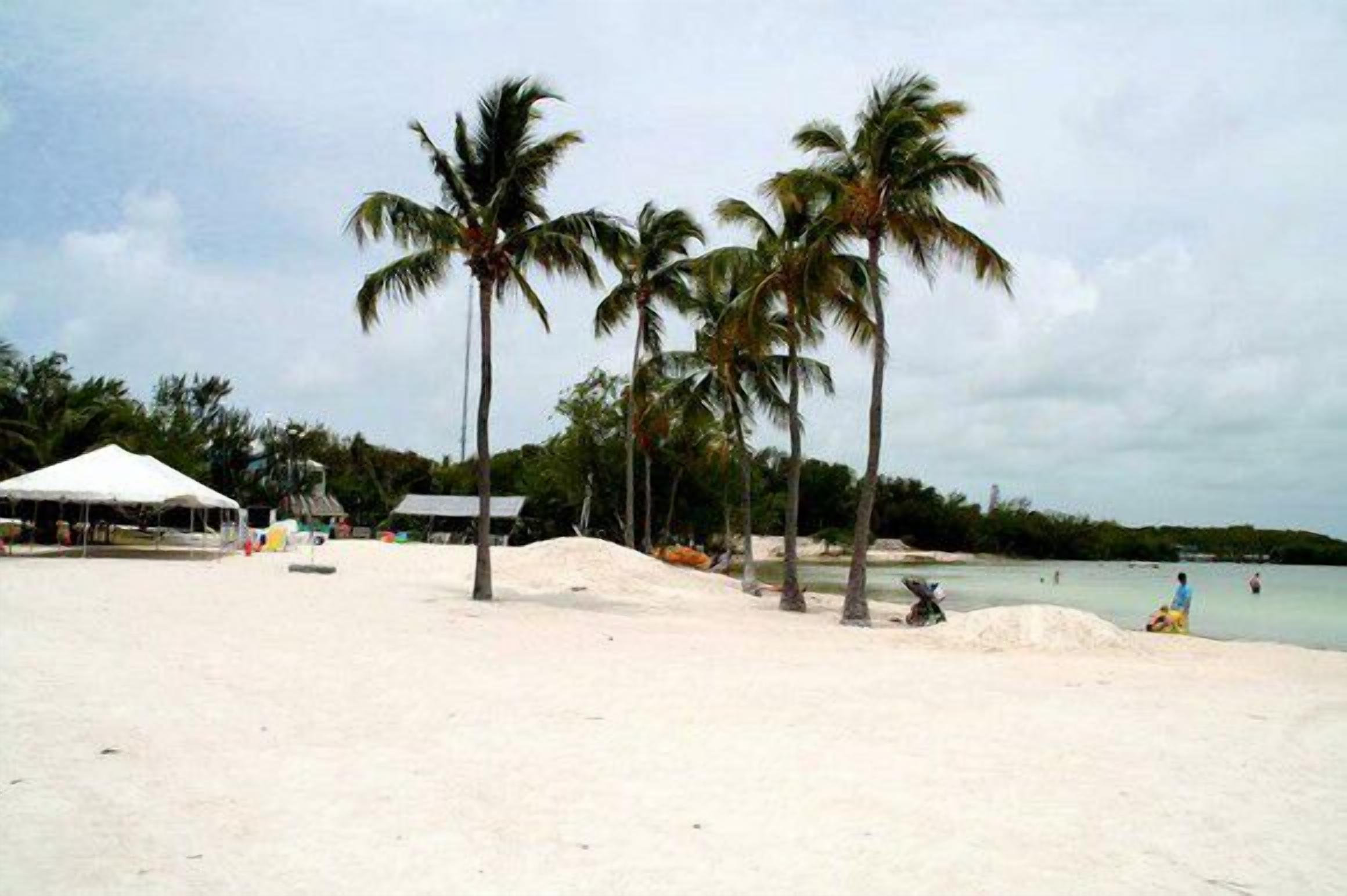 Sun-loungers, beach towels