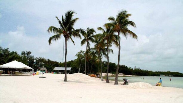 Een strand met palmbomen, een tent en een klein gebouw.