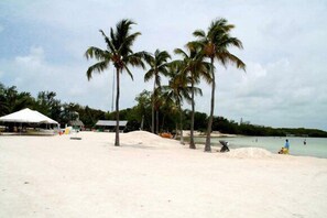 Chaise longue, serviettes de plage