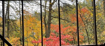 ノースカロライナ州マーフィーのハイアワッシー湖/熊の足の湖frontの小屋-ブルーリッジ山脈 