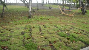 A grassy area with a hammock and trees.