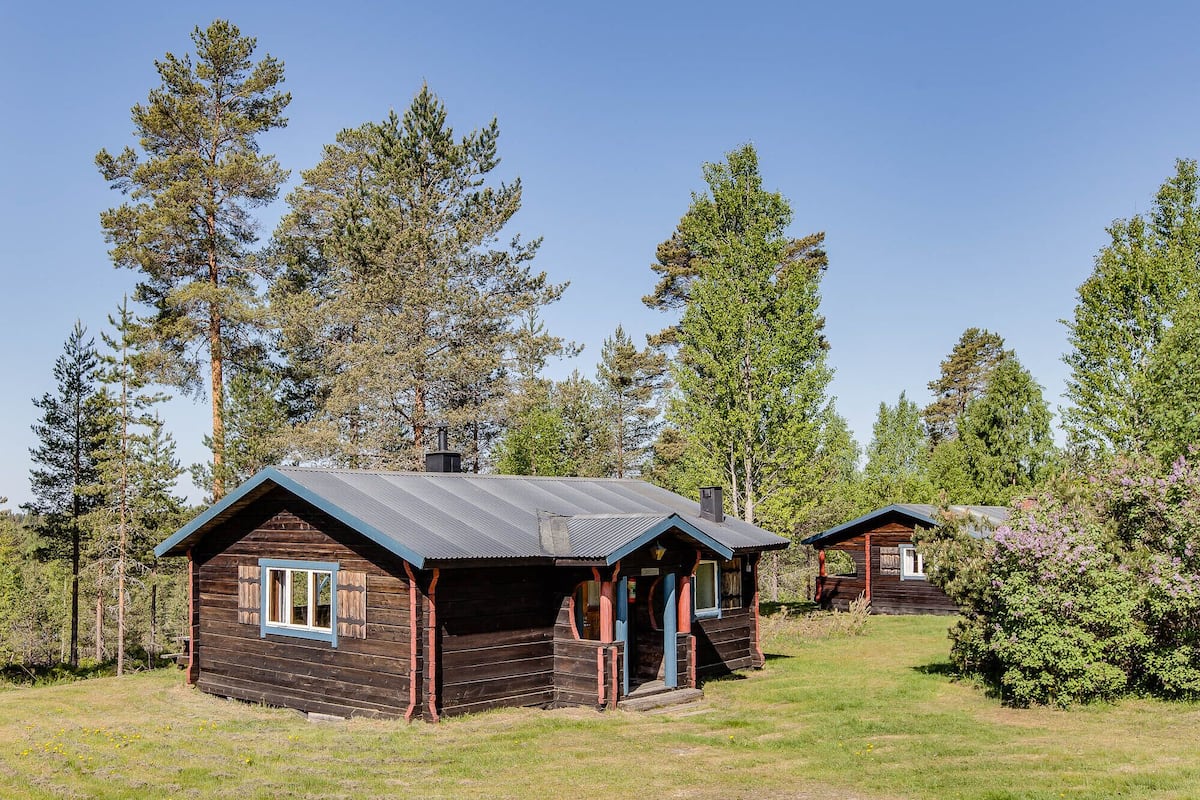 Two wooden cabins with metal roofs, surrounded by tall pine trees.