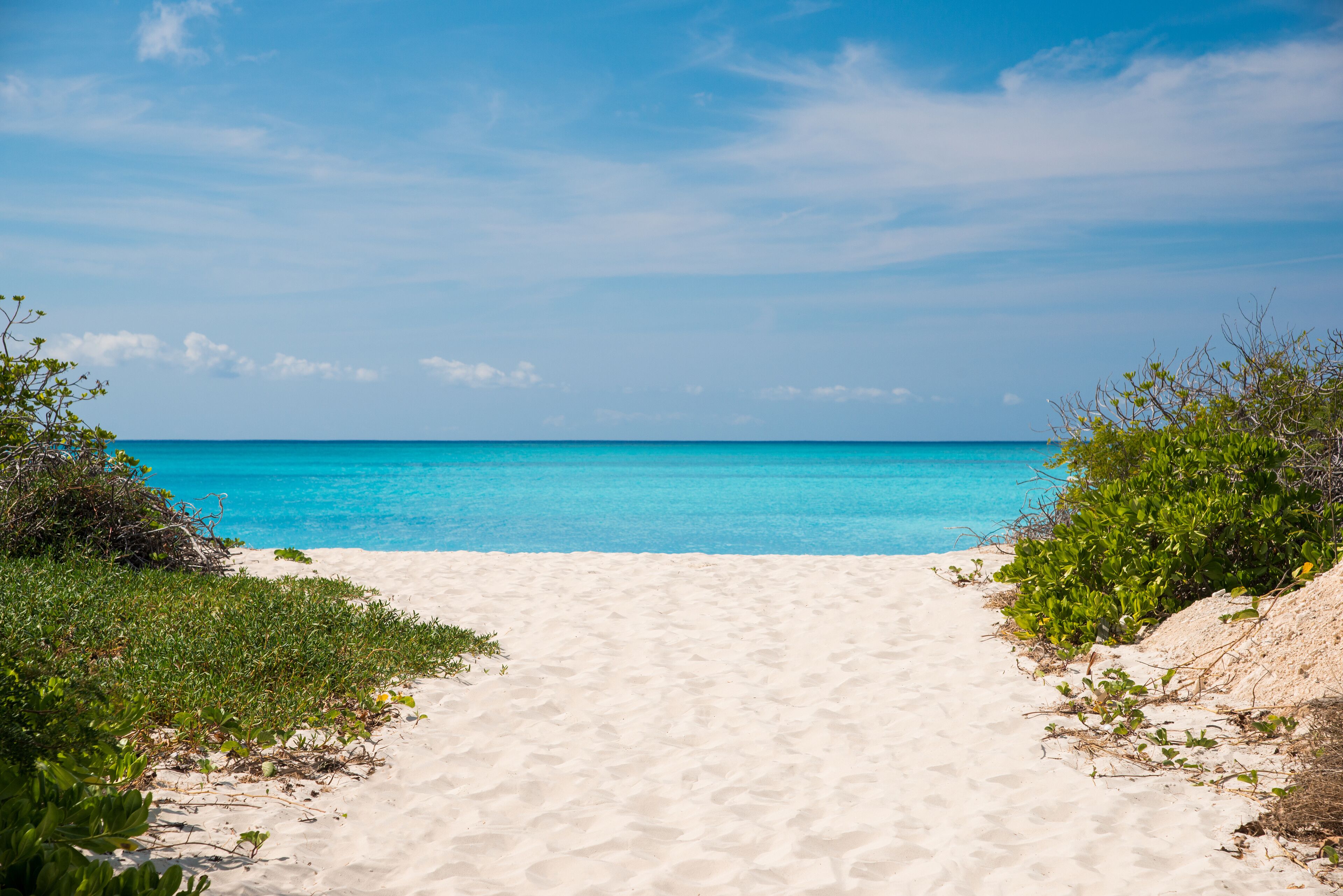 Un sentier de sable bordant la plage, qui mène à un océan turquoise sous un ciel dégagé.
