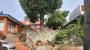 Zona residencial con muro de piedra, plantas en macetas y una escalera que lleva a una casa con paredes exteriores naranja y azul.