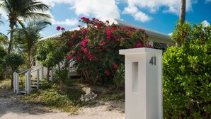 A gated entrance with a white mailbox marked '41' and a staircase leading to a building. - Romantic Getway Steps from the Beach (Providenciales)