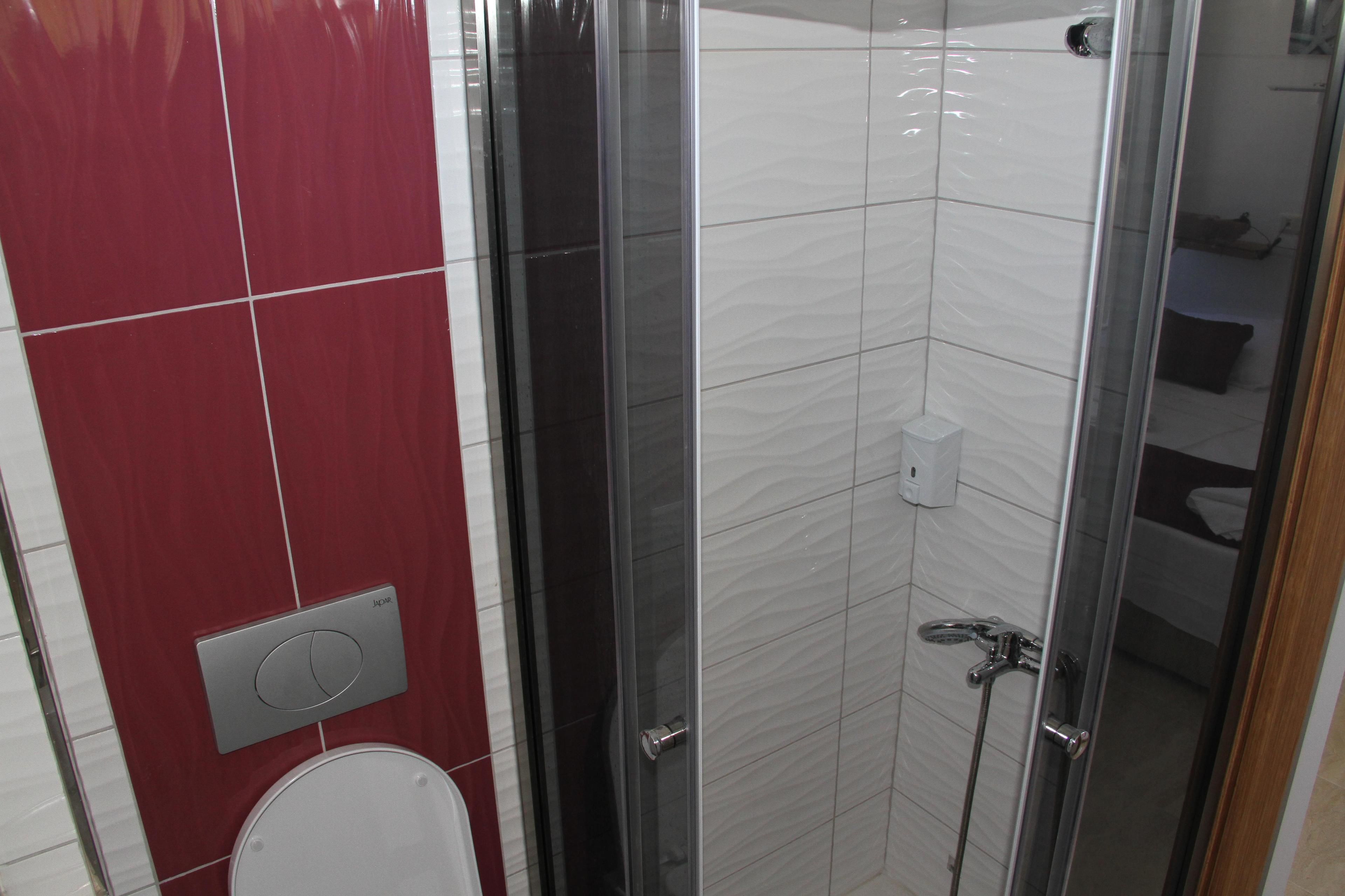 A bathroom with a glass shower enclosure, a toilet, and a red wall.