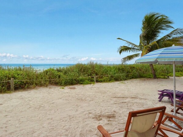 A beach with a sandy area, a palm tree, and a striped umbrella.