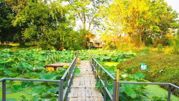 Unclassified image, 1 of 58, button - Poolvilla Chiangmai (Doi Saket)