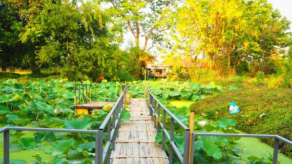 Vistas al campo desde el alojamiento