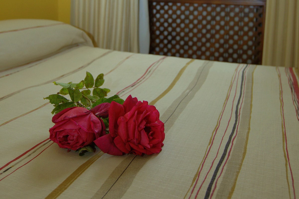 Iron/ironing board, cots/infant beds, free WiFi, bed sheets