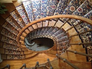 A spiral staircase with ornate, patterned carpeted steps and a wooden handrail.