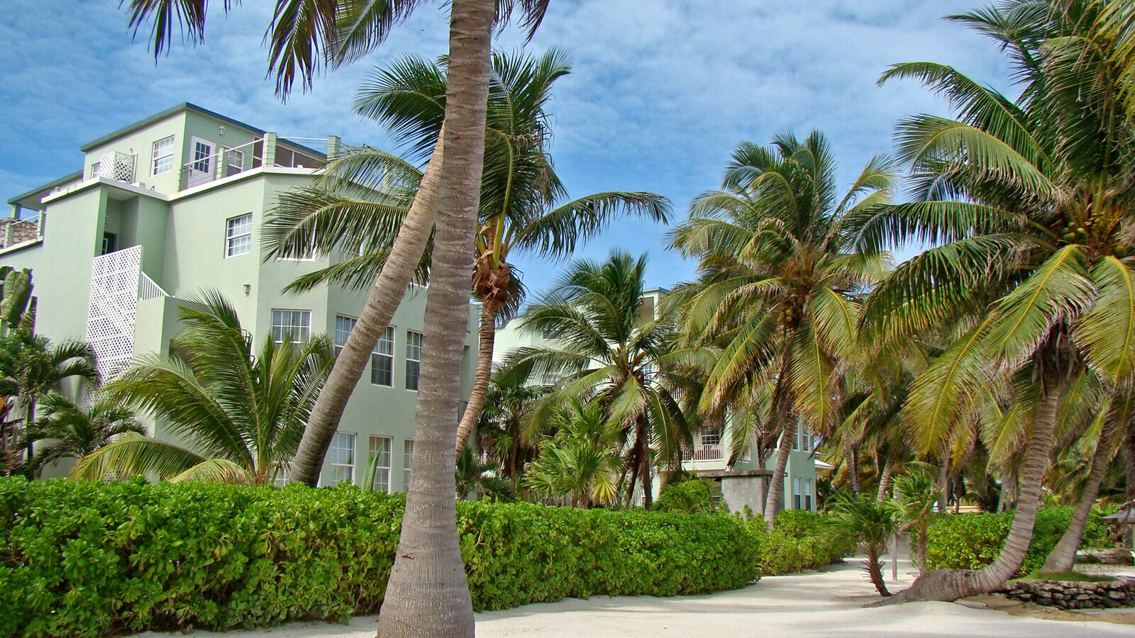 Ein Resort mit einem hellgrünen Gebäude, Palmen und blauem Himmel.