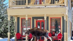 A building with a 'CARMEL' sign, a balcony, and red chairs outside.