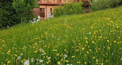 Apartamentos Rurales Buenamadre