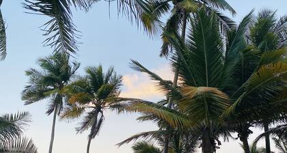 Chic oasis in the vibrant heart of Condado