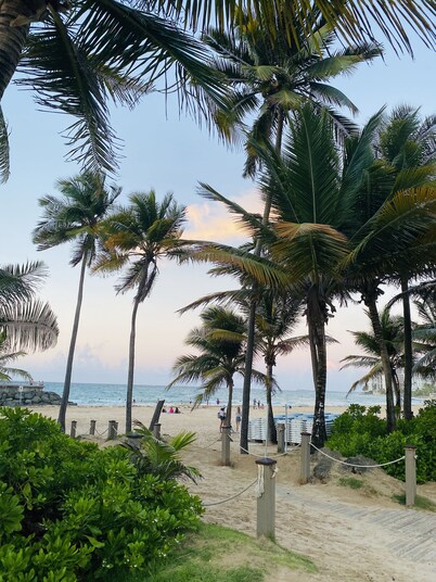 Chic oasis in the vibrant heart of Condado