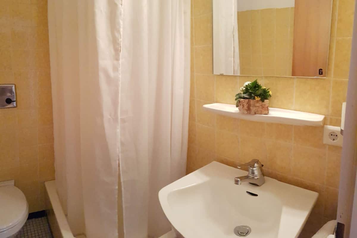 A bathroom with a white sink, a mirror above it, and a shelf with a plant.