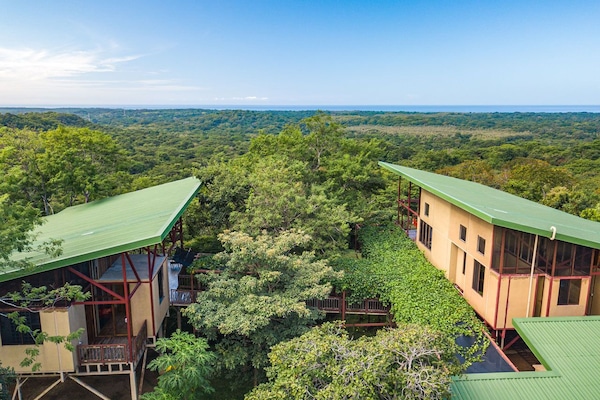 Lush jungle in the green season with beautiful views of the Pacific.