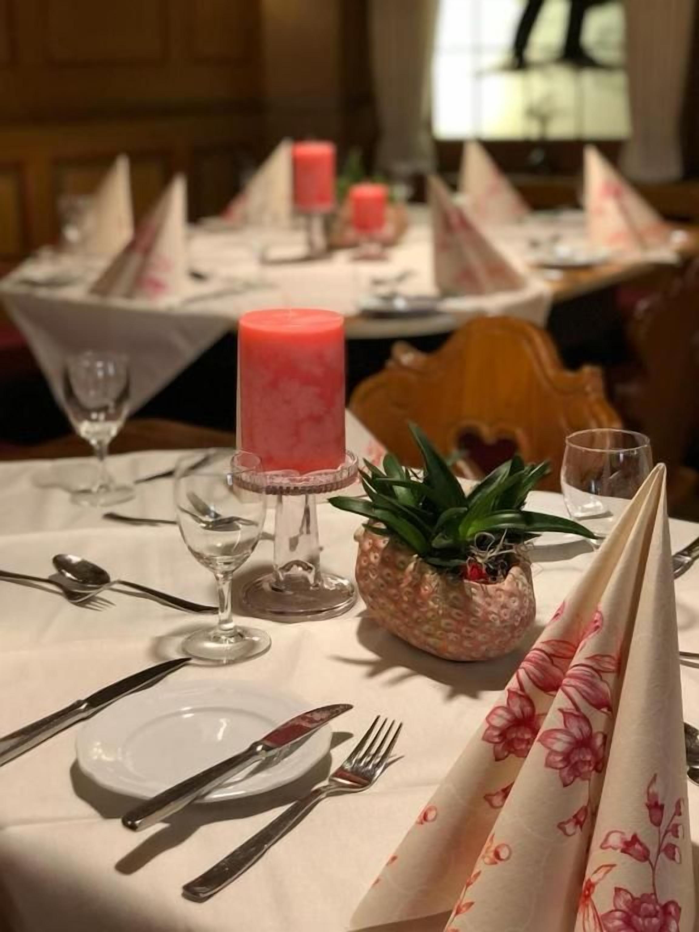 A table set for dining with a pink candle, a potted plant, and a floral napkin.