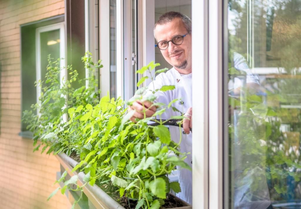 Iemand verzorgt een plant in een vensterdoos.
