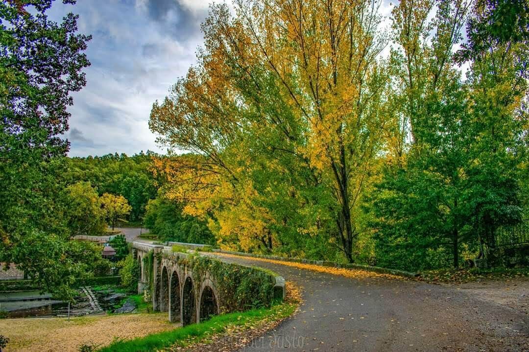 A stone bridge over a river with a road curving around it, surrounded by trees with autumn foliage.