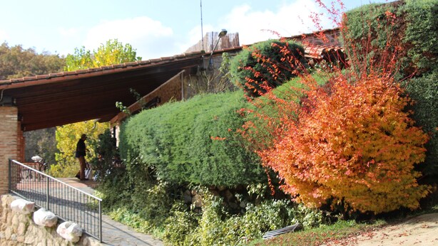 A stone staircase leading up to a covered walkway, surrounded by lush greenery and autumn foliage. - Hostel El Lago Caceres (Cuacos de Yuste)