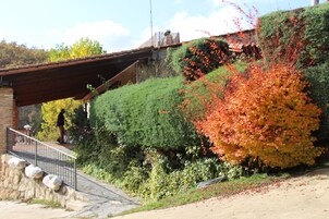 Recepción