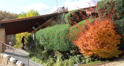 Hostel El Lago Caceres