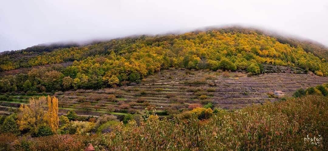 A hilly landscape with terraced fields and a small building on the slope.