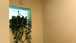 Een badkamer met een douche, een handdoekhouder en een potplant.