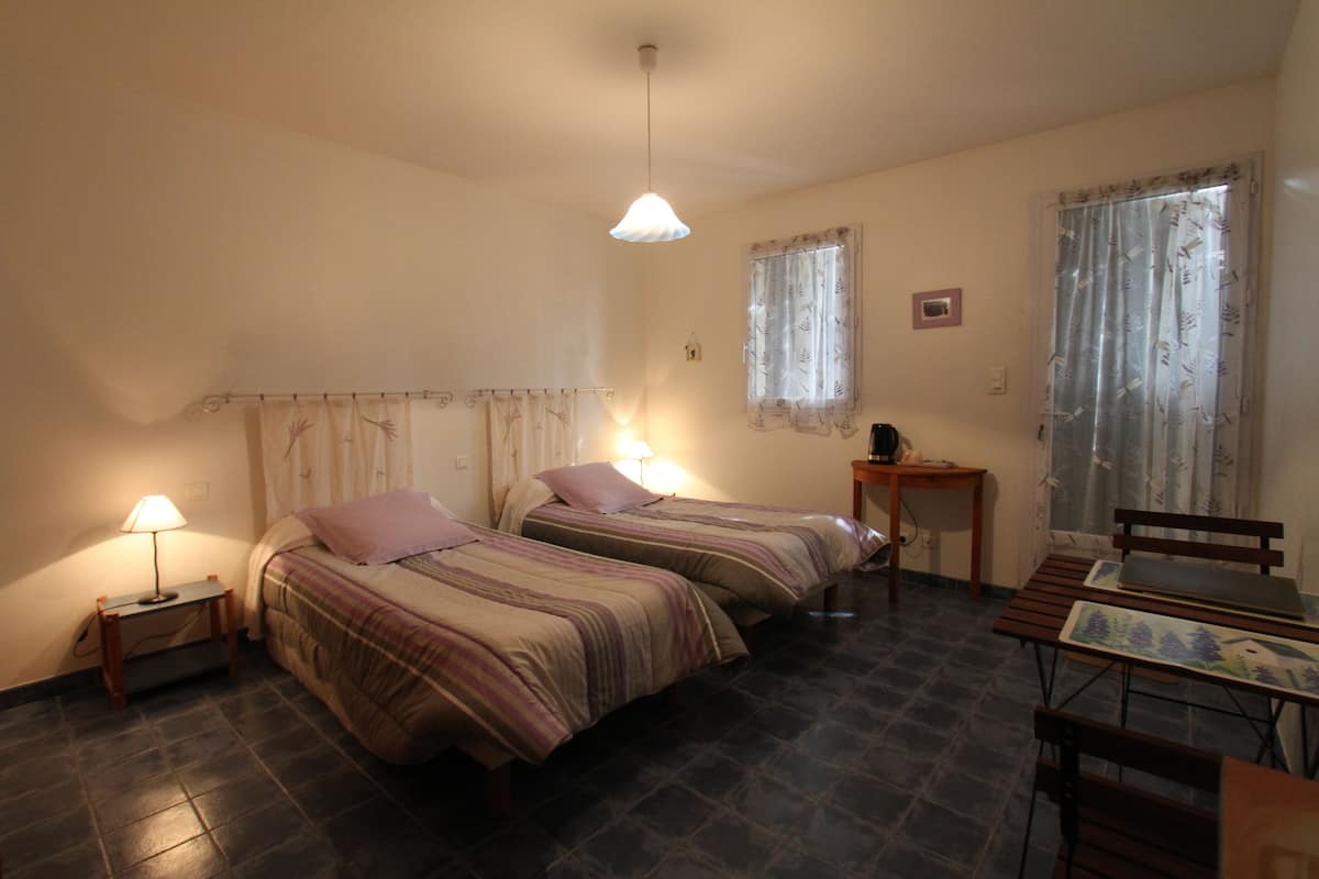 A bedroom with two beds, a nightstand, a table, and a chair.