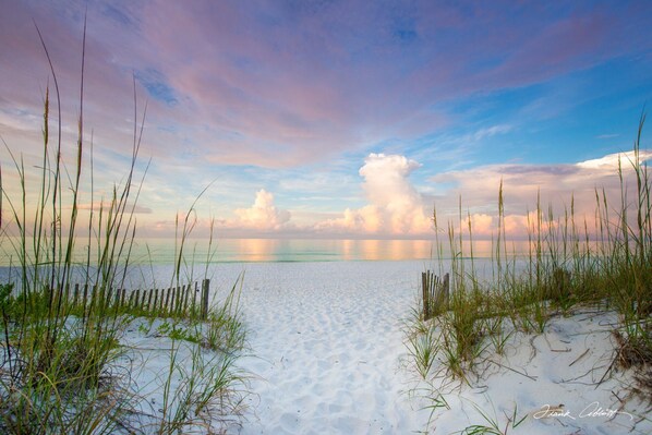 Beach - Poolside Paradise! Book your ‘26 Getaway Now! 6 bed, 3.5bath, sleeps 16 (Destin)