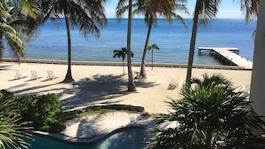 A beach with palm trees, a pool, and a view of the ocean. - Ocean Front Condo - just steps from the beach!  Gold Standard Approved (San Pedro)
