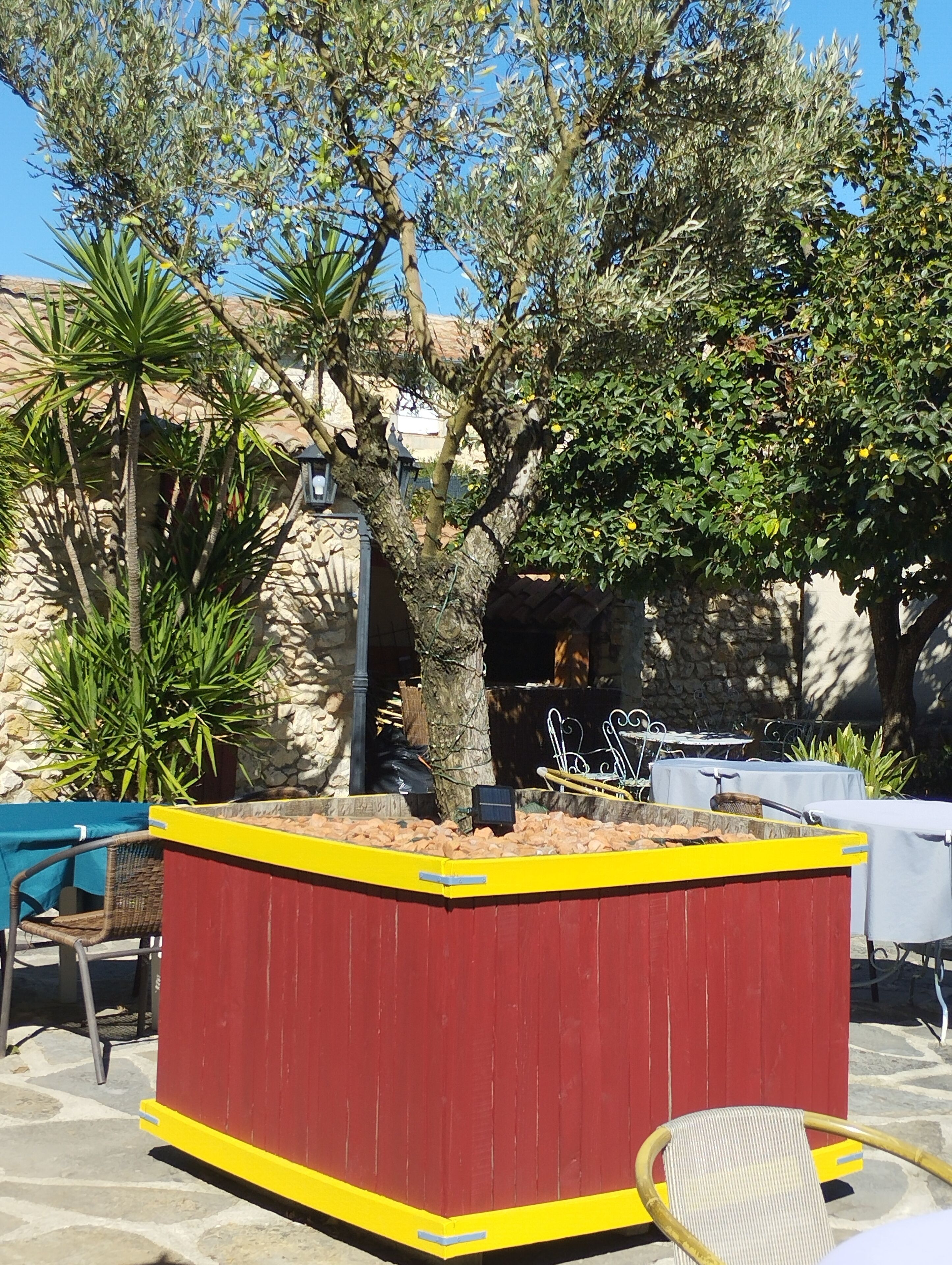 A red and yellow outdoor seating area with a stone wall backdrop, surrounded by various plants and trees.