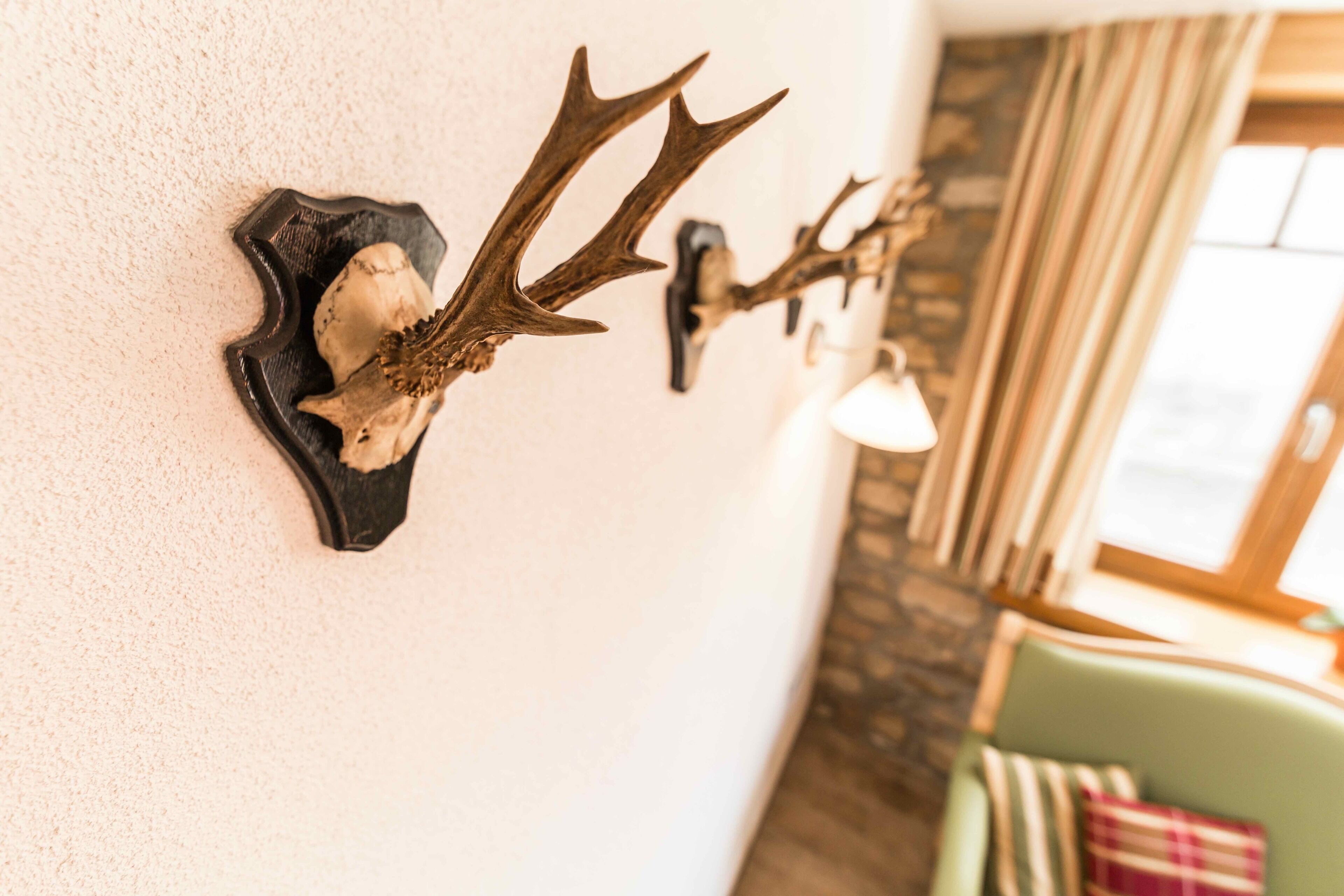 A wall-mounted deer head with antlers in a room with a green armchair and a window with curtains.