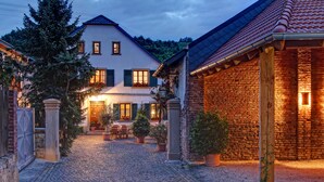A cobblestone courtyard with a white building featuring green shutters, a brick structure, and potted plants. - Schmidtburger Hof (Weiler bei Monzingen)