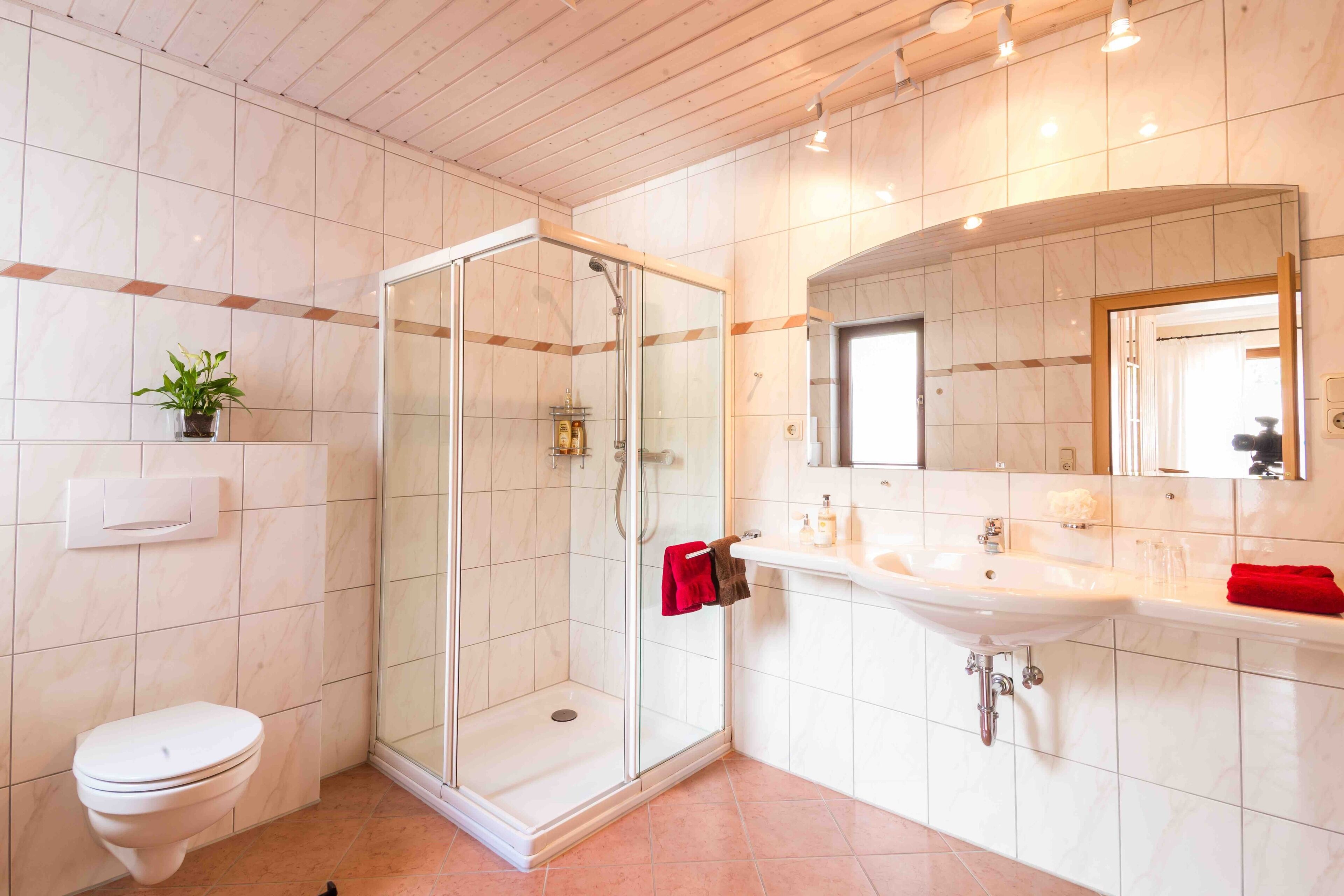 A modern bathroom with a glass-enclosed shower, a toilet, a sink, and a mirror.