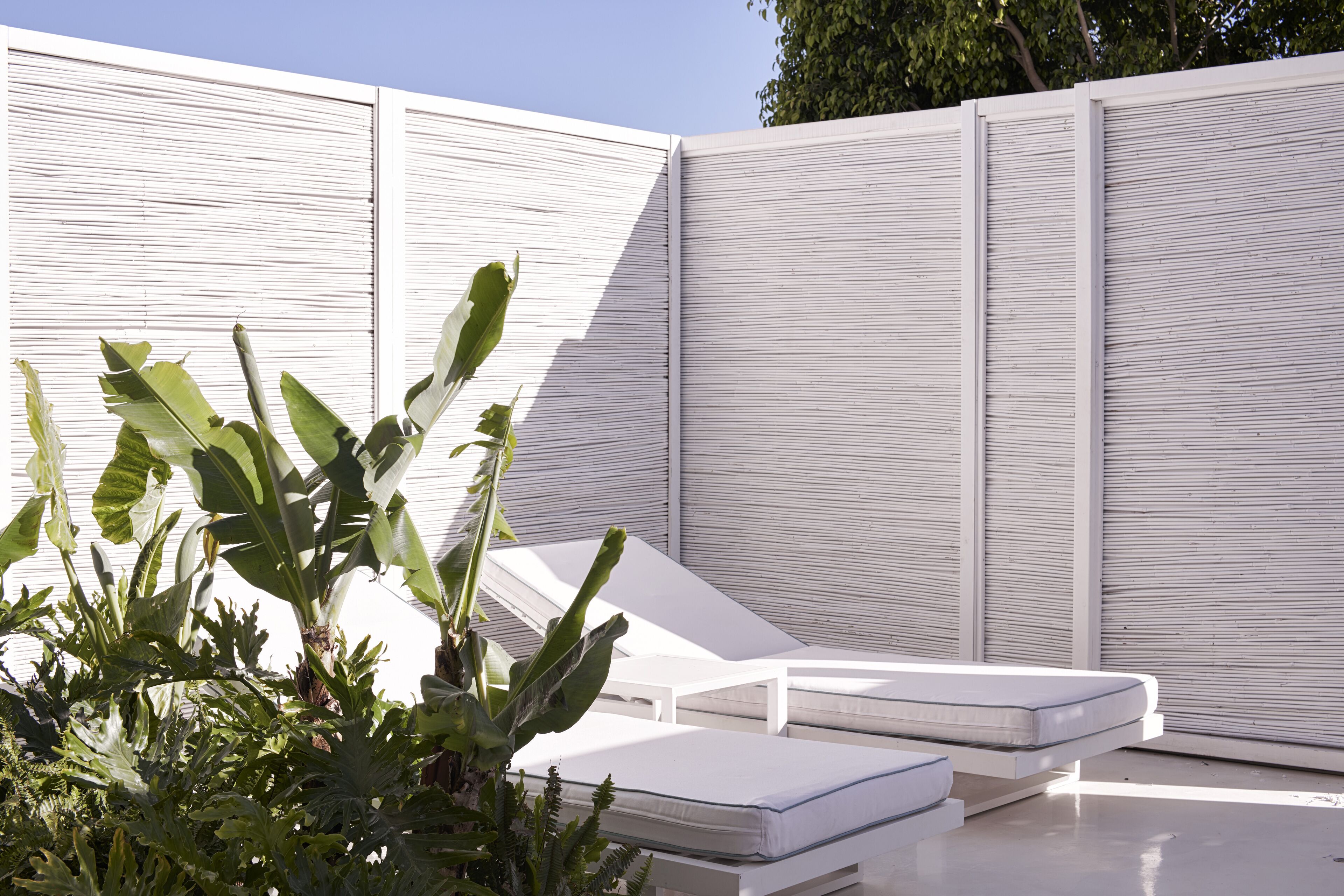 A modern outdoor lounge area with white lounge chairs and a white privacy screen.