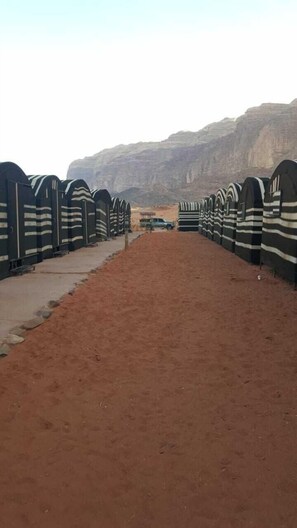 Property grounds - Wadi rum light camp (Wadi Rum)