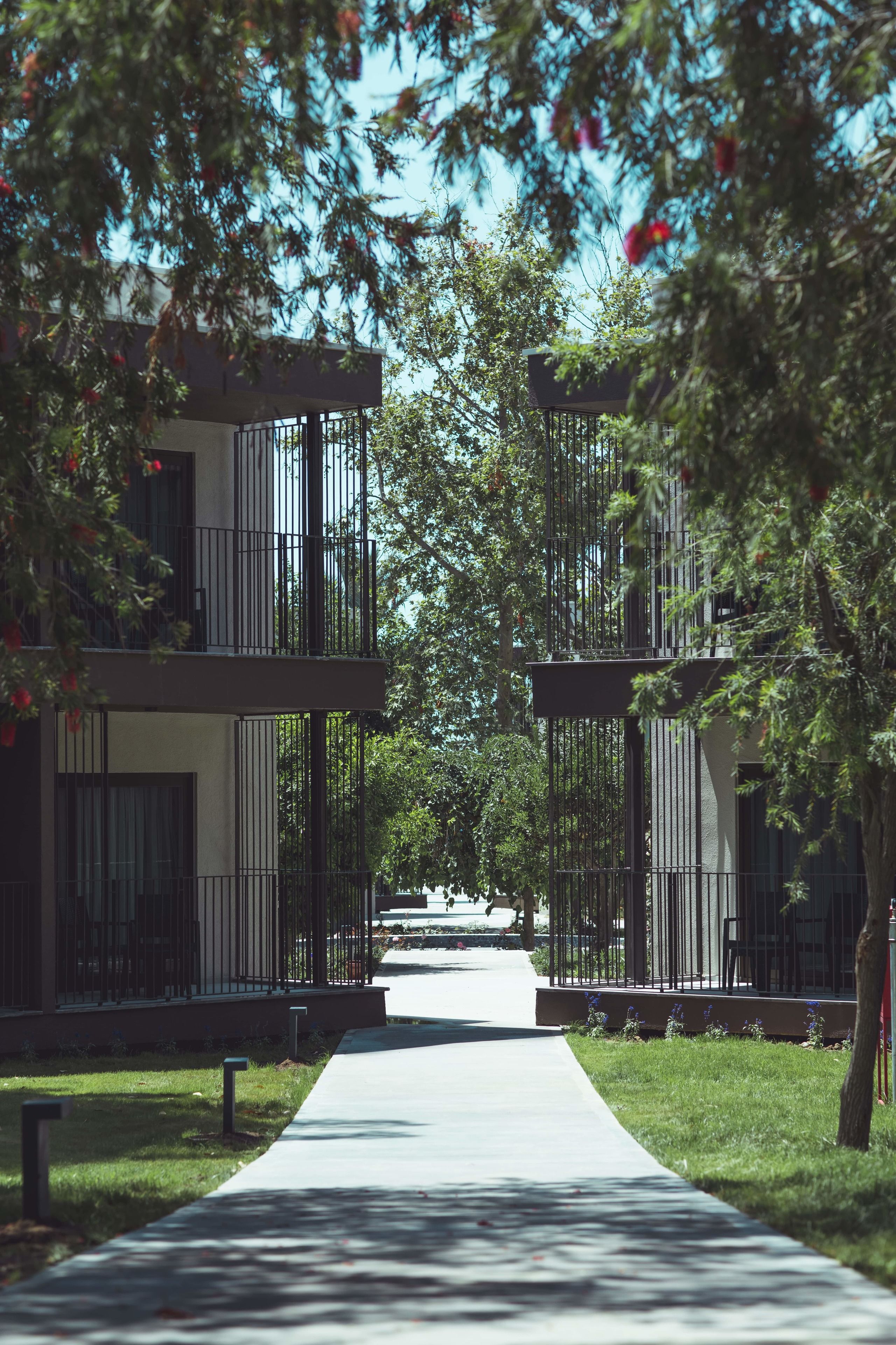 Foto - Paloma Orenda